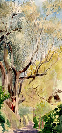 Oak Walk at Chateau St. Laurent (Watercolour by Eleanor Violet Jauncey)