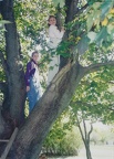1999 Climbing Trees - S and E